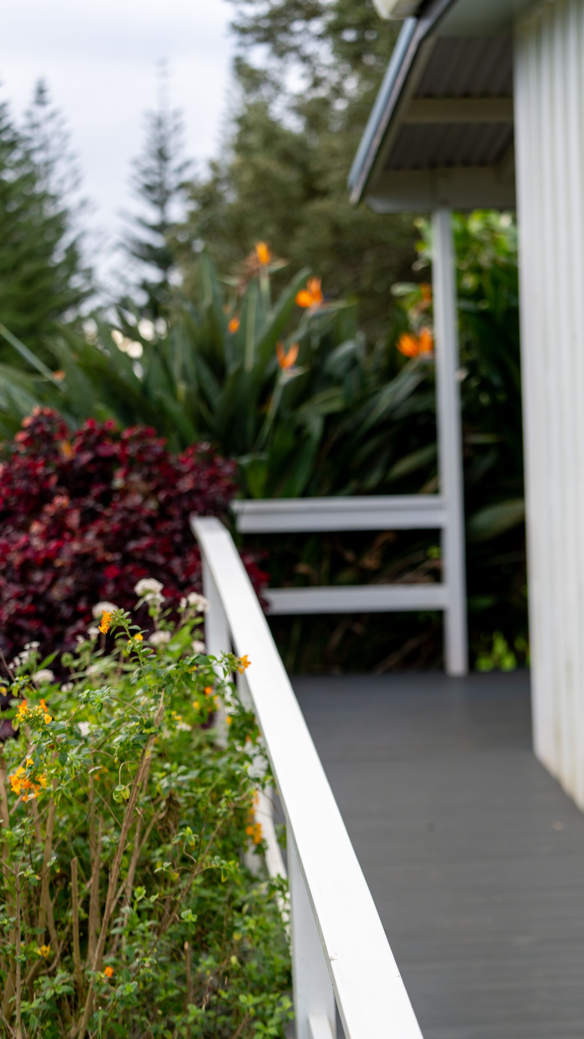 White railing along a porch beside lush garden plants and orange flowers