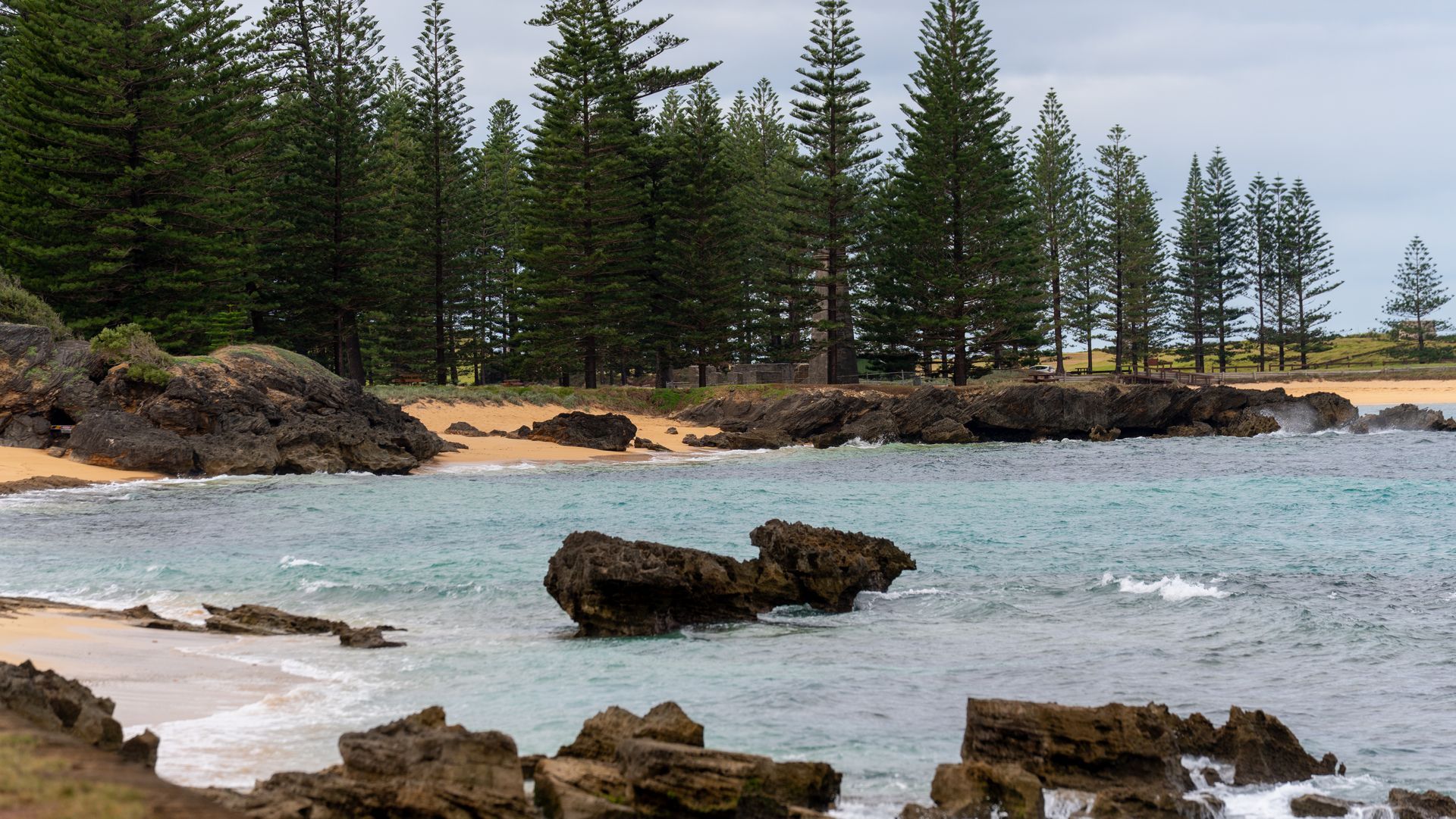 Rocky shoreline with gentle waves, sandy beach, and tall evergreen trees under a cloudy sky