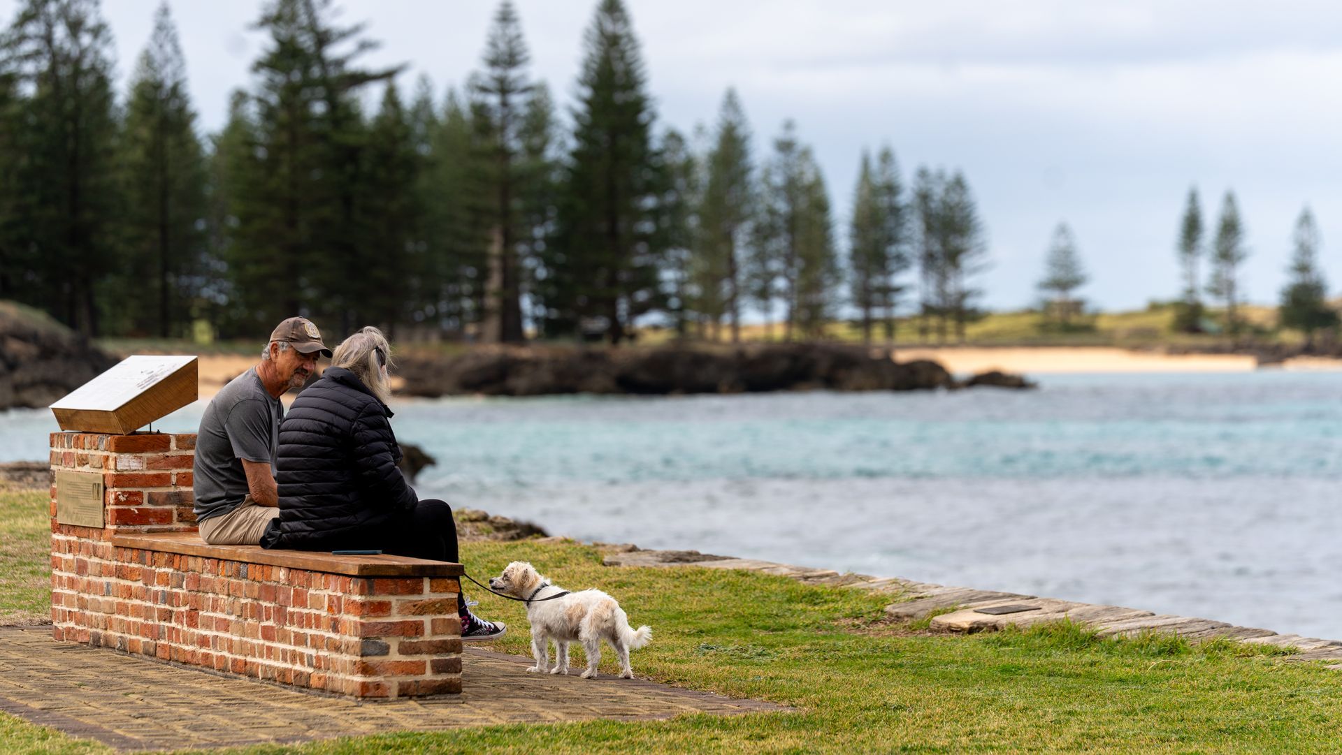 Two people on a brick bench by a lake with a small dog, pine trees and sandy shore in the background