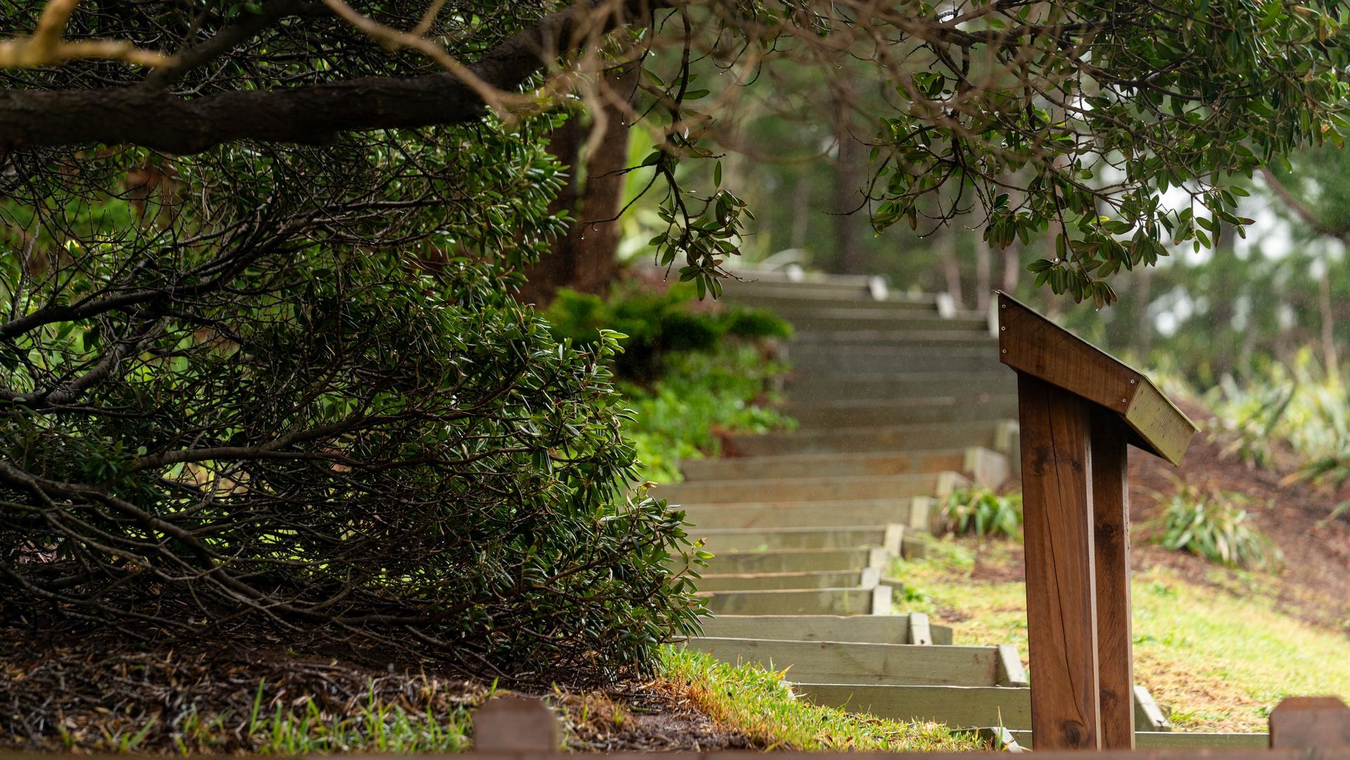 A stone staircase winds up through a leafy garden, framed by trees and a wooden railing.
