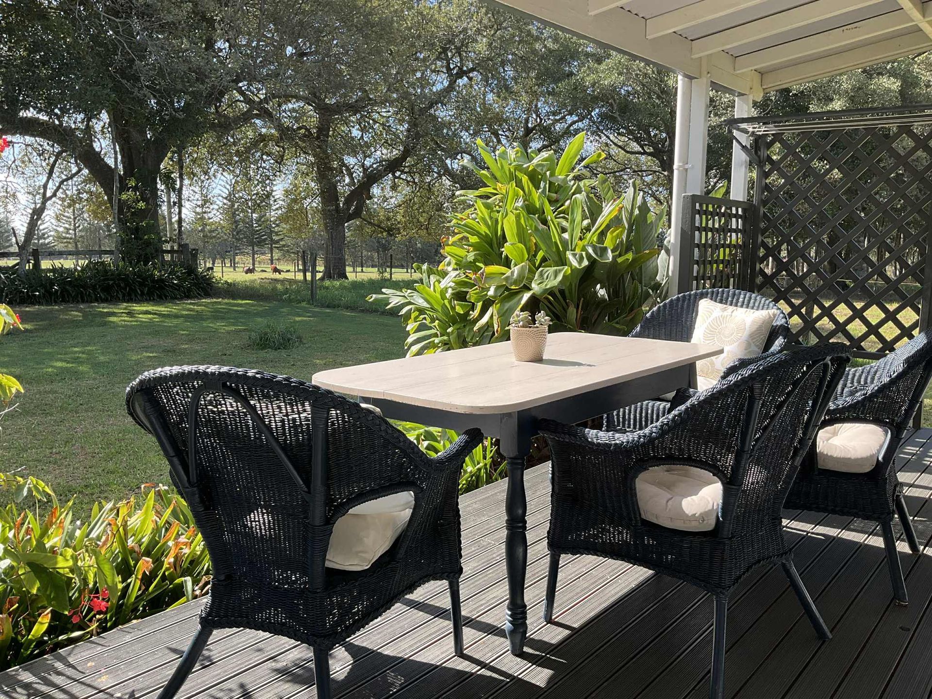 Patio with black wicker furniture, table set for four. Norfolk Island Trade Winds Seniors Sanctuary