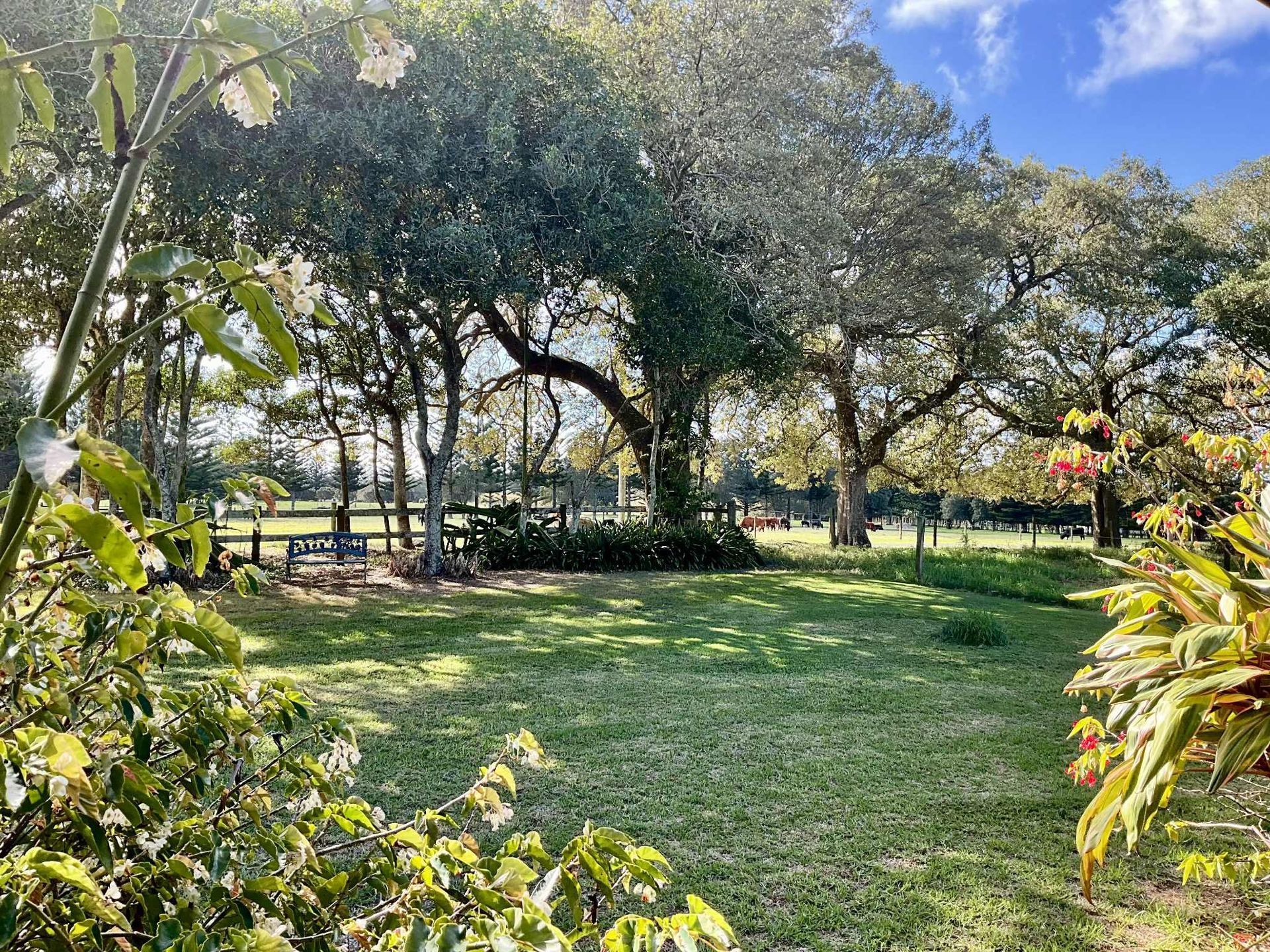 Lush green field with trees, sunlight, and a distant fence on a bright day. Norfolk Island Trade Winds Seniors Sanctuary