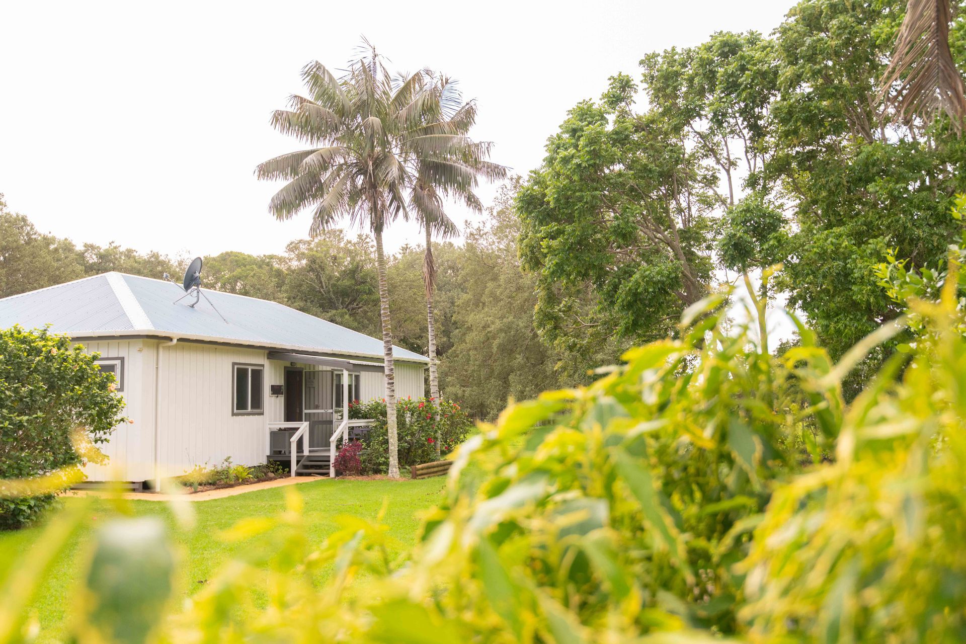White cottage with a gray roof in a lush tropical garden, framed by green foliage and palm trees.