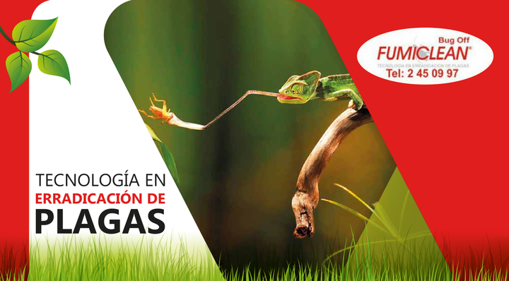 Bug Off Fumiclean hombre con equipos de fumigación