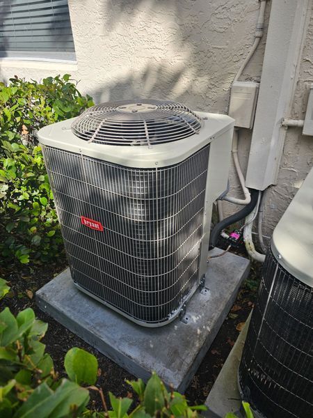 Air conditioning unit on a concrete pad next to a building, surrounded by greenery.