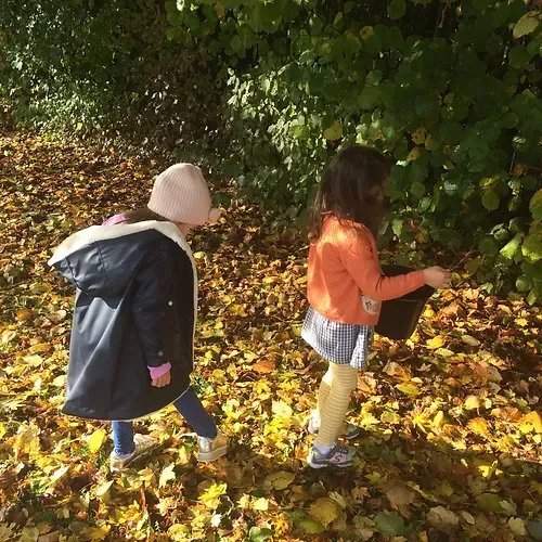 Two little girls are walking through a pile of leaves.