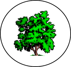 A tree with green leaves is in a circle on a white background.