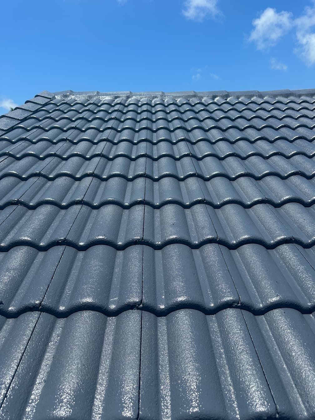 A freshly painted roof in Palm Beach QLD