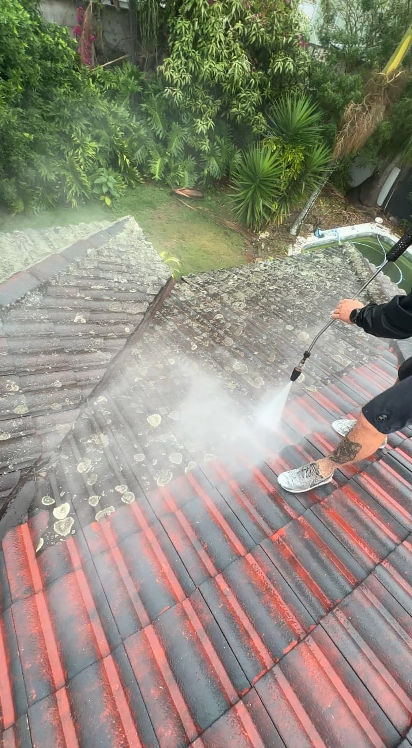 Person pressure-washing a red roof with water spray beside green trees