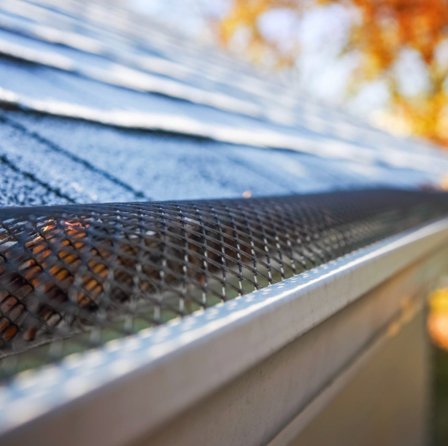 Close-up of a roof gutter with leaf guard mesh, blue shingles, and autumn foliage in the background