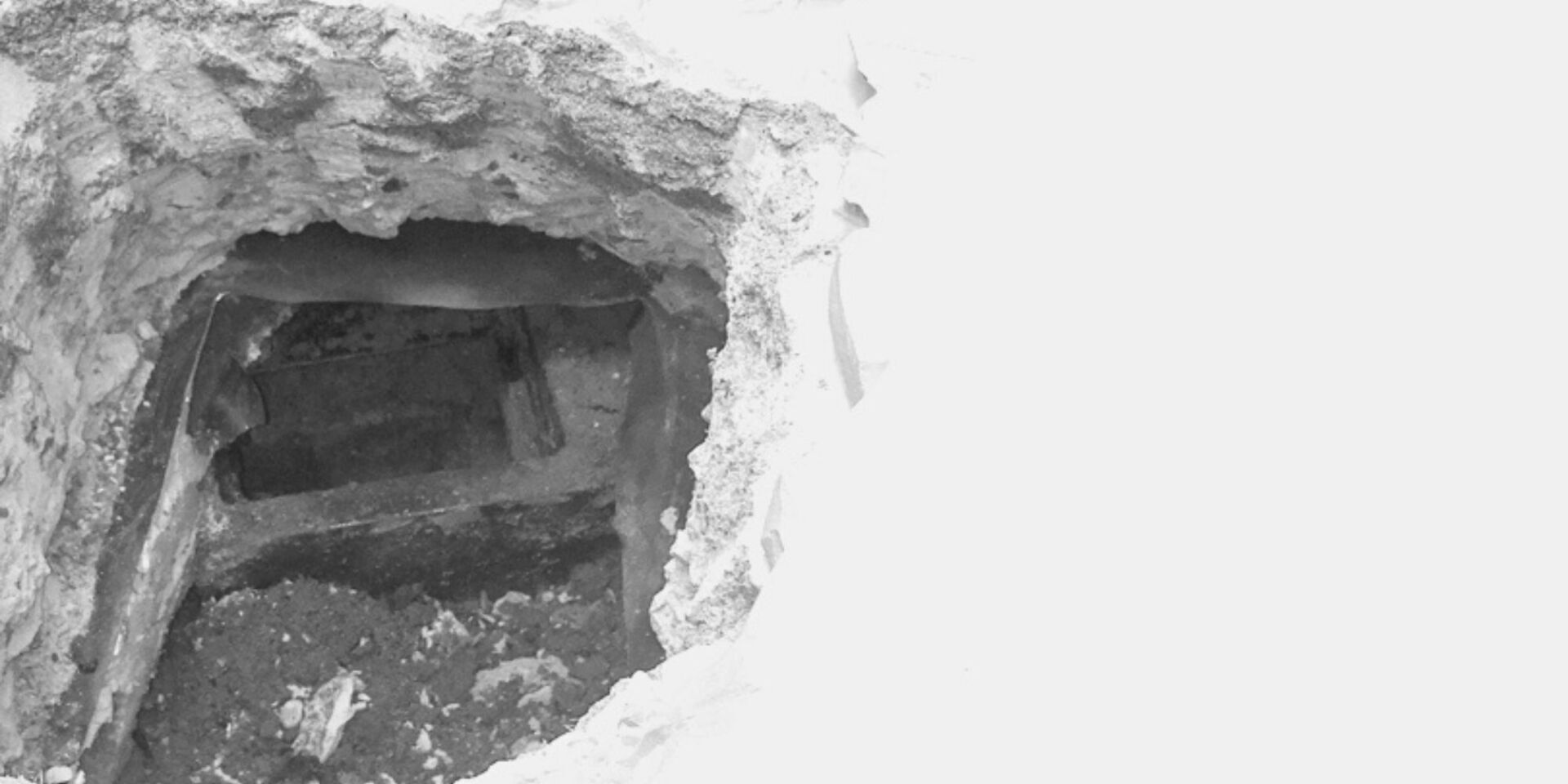 rats in sewers