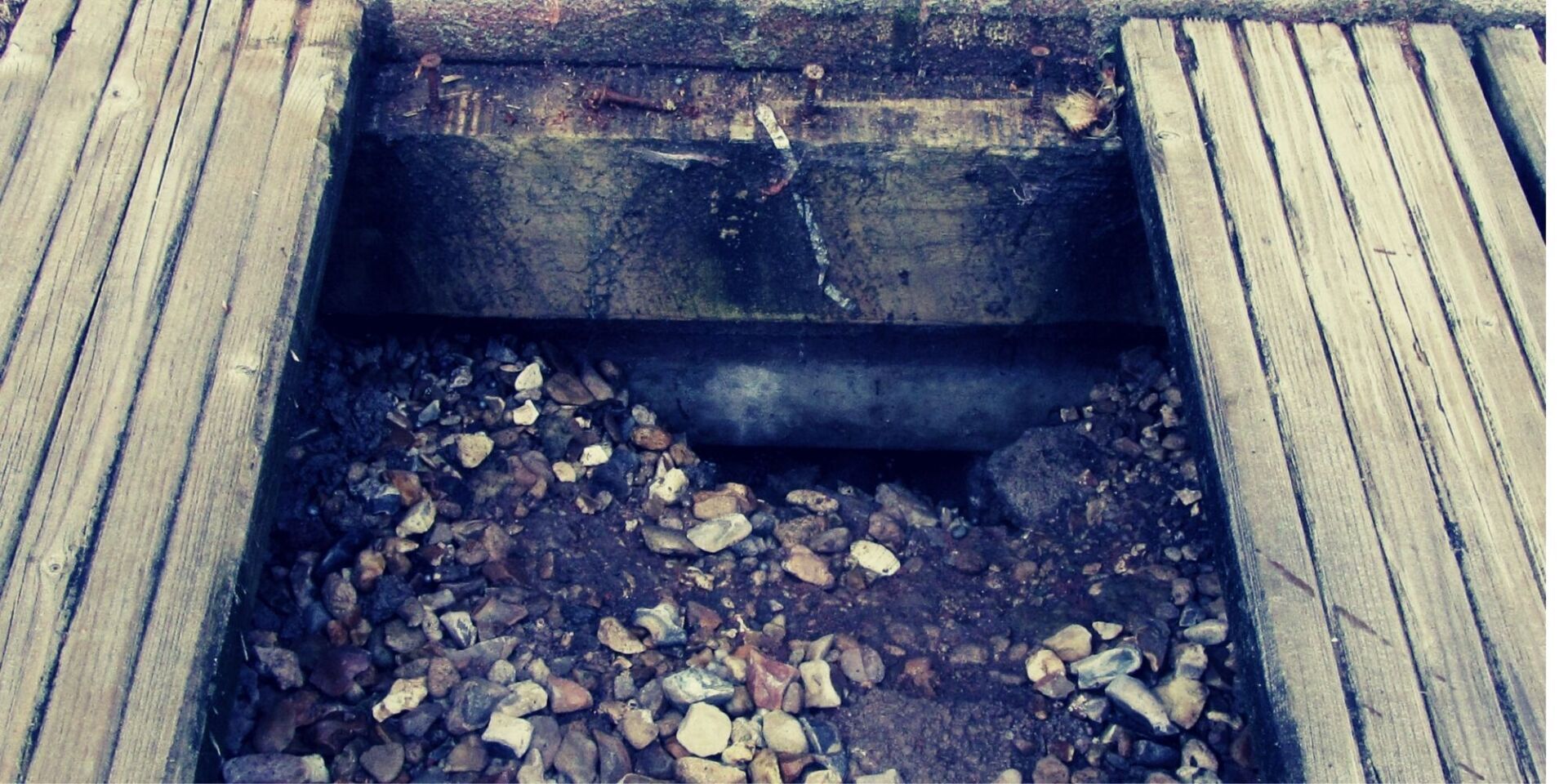 rats wall cavities cavity walls bristol
