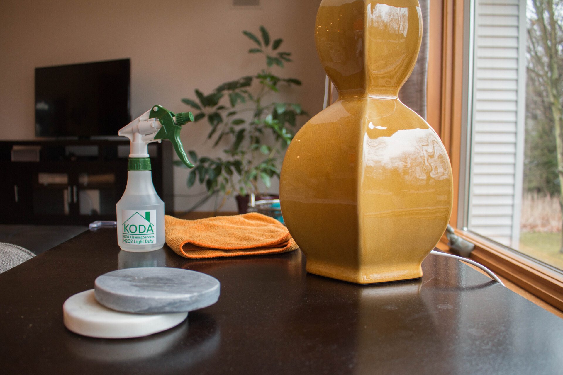 Professional Cleaning KODA Cleaning Services Byron Center, MI