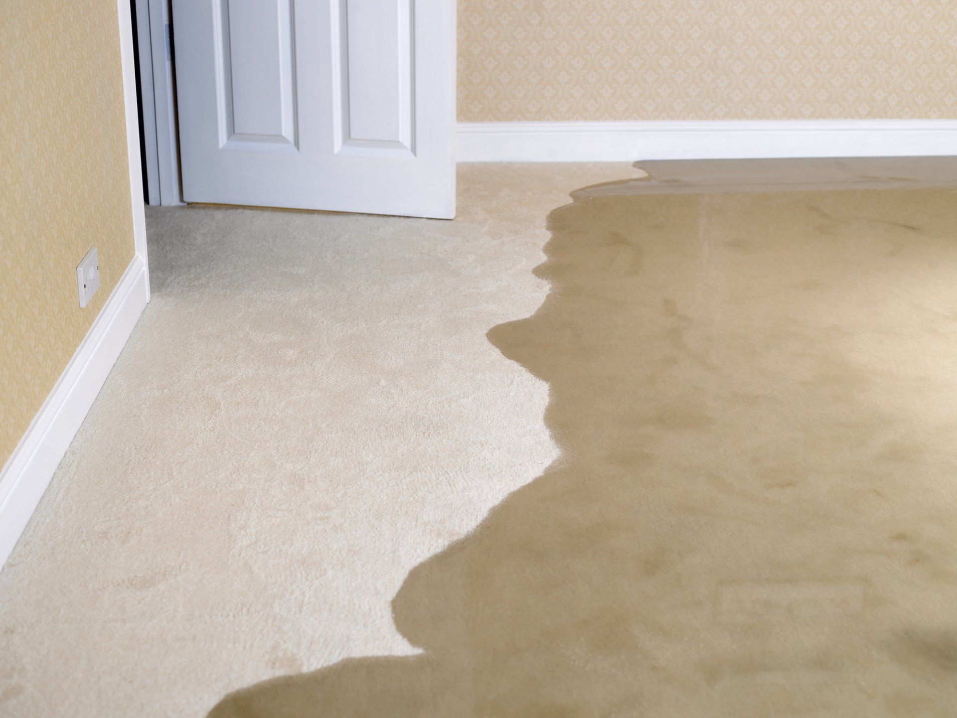 A room with a door and a shadow on the floor