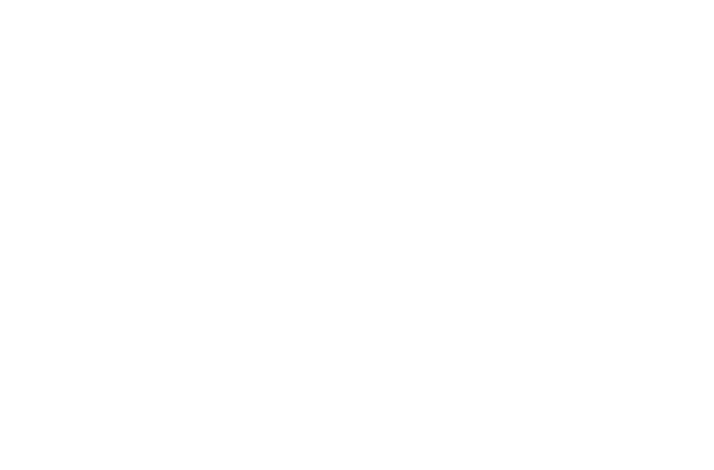 Empty white space.