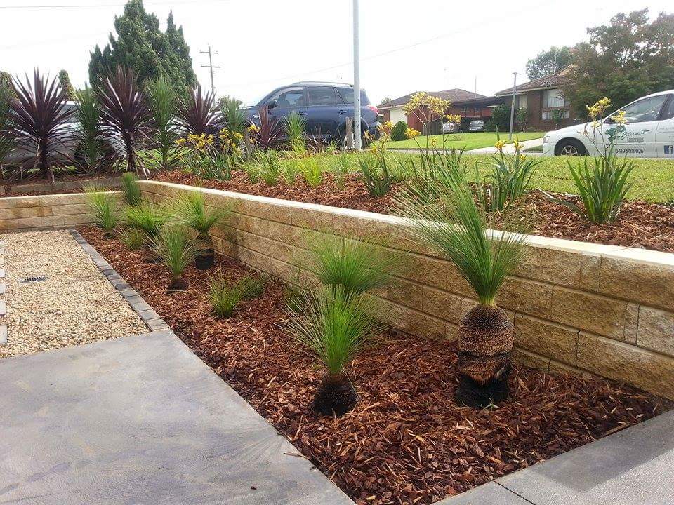 Plants — Mt Riverview, NSW ¬¬— Eternal Landscapes