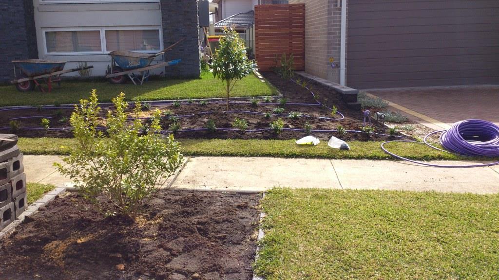 Automatic Irrigation — Mt Riverview, NSW ¬¬— Eternal Landscapes