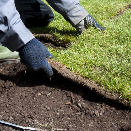 Turf and Garden — Mt Riverview, NSW ¬¬— Eternal Landscapes