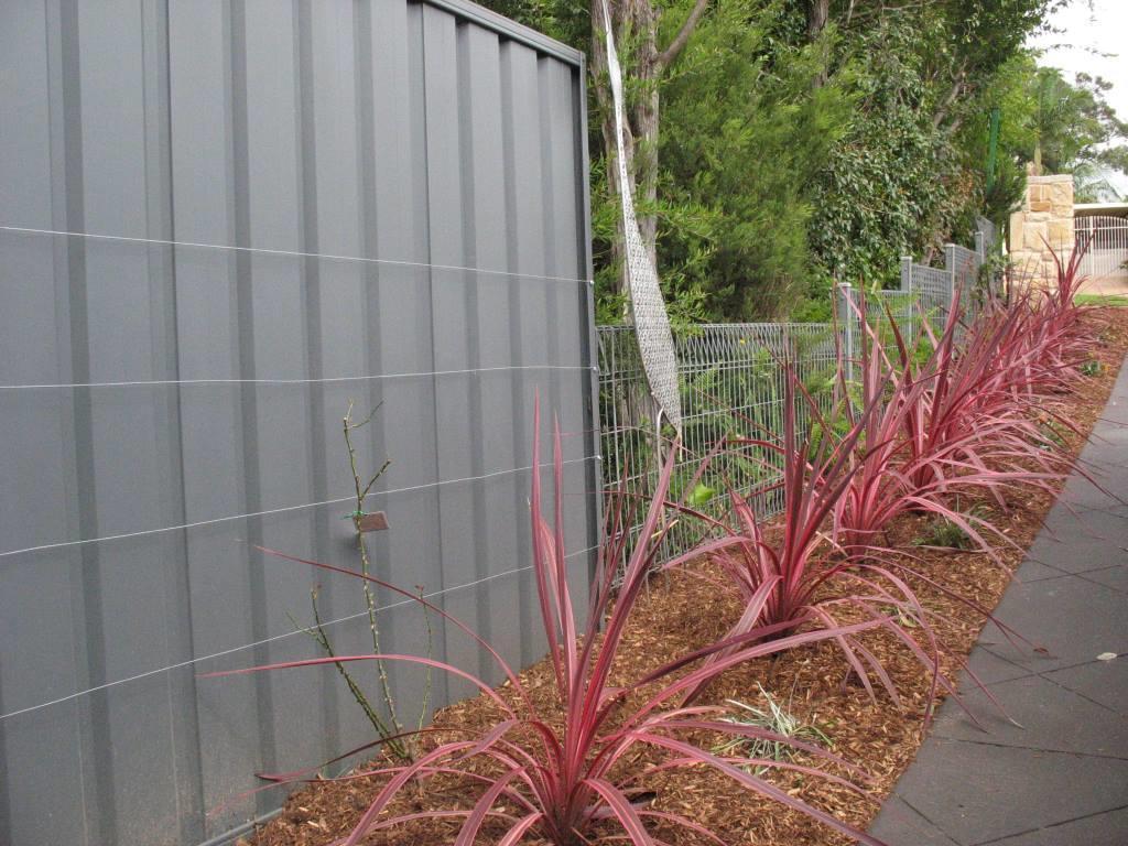 Client Personal Taste Design — Mt Riverview, NSW ¬¬— Eternal Landscapes