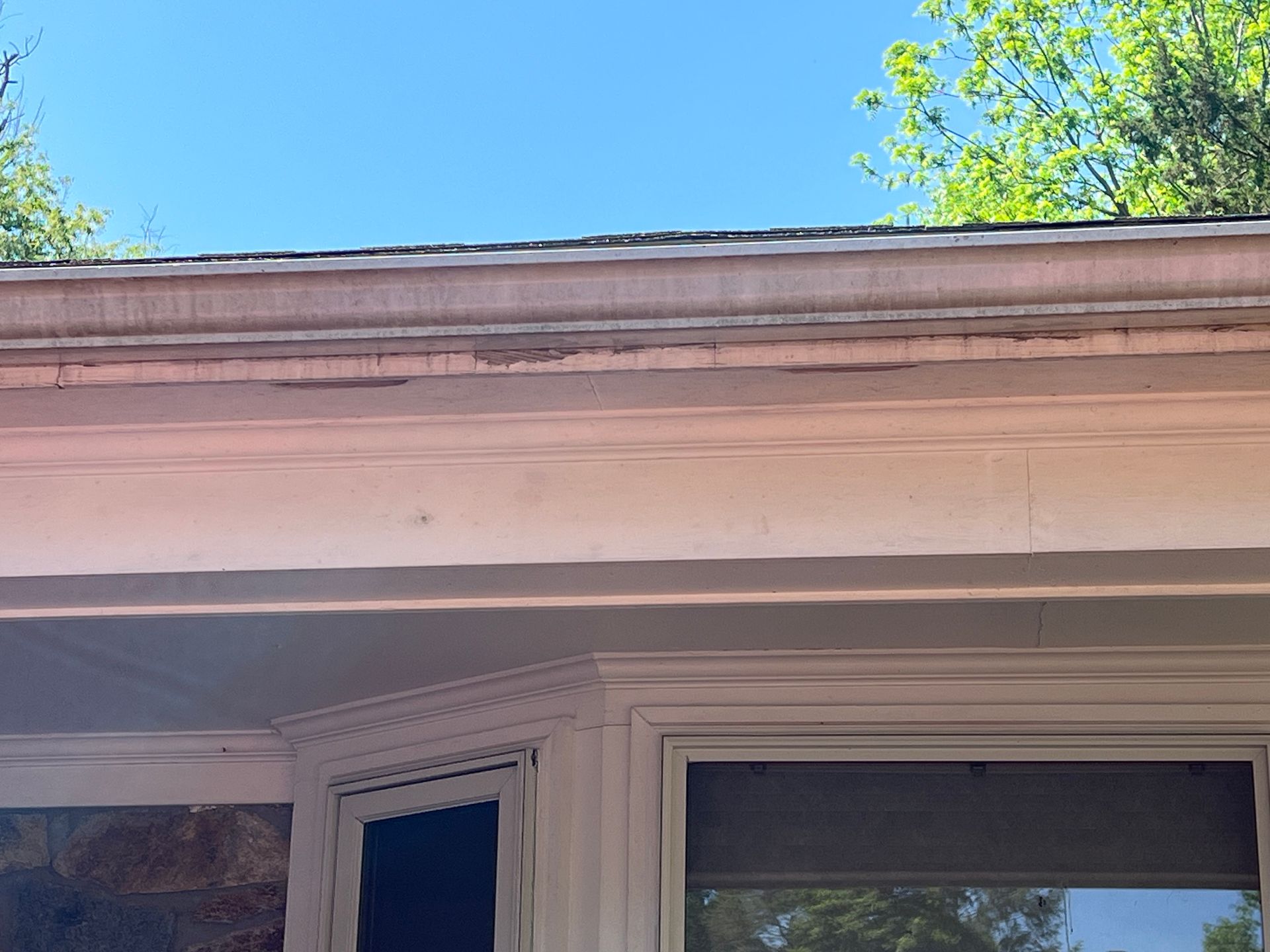 Close-up view of a house's white trim and a gutter against a blue sky with green tree leaves.