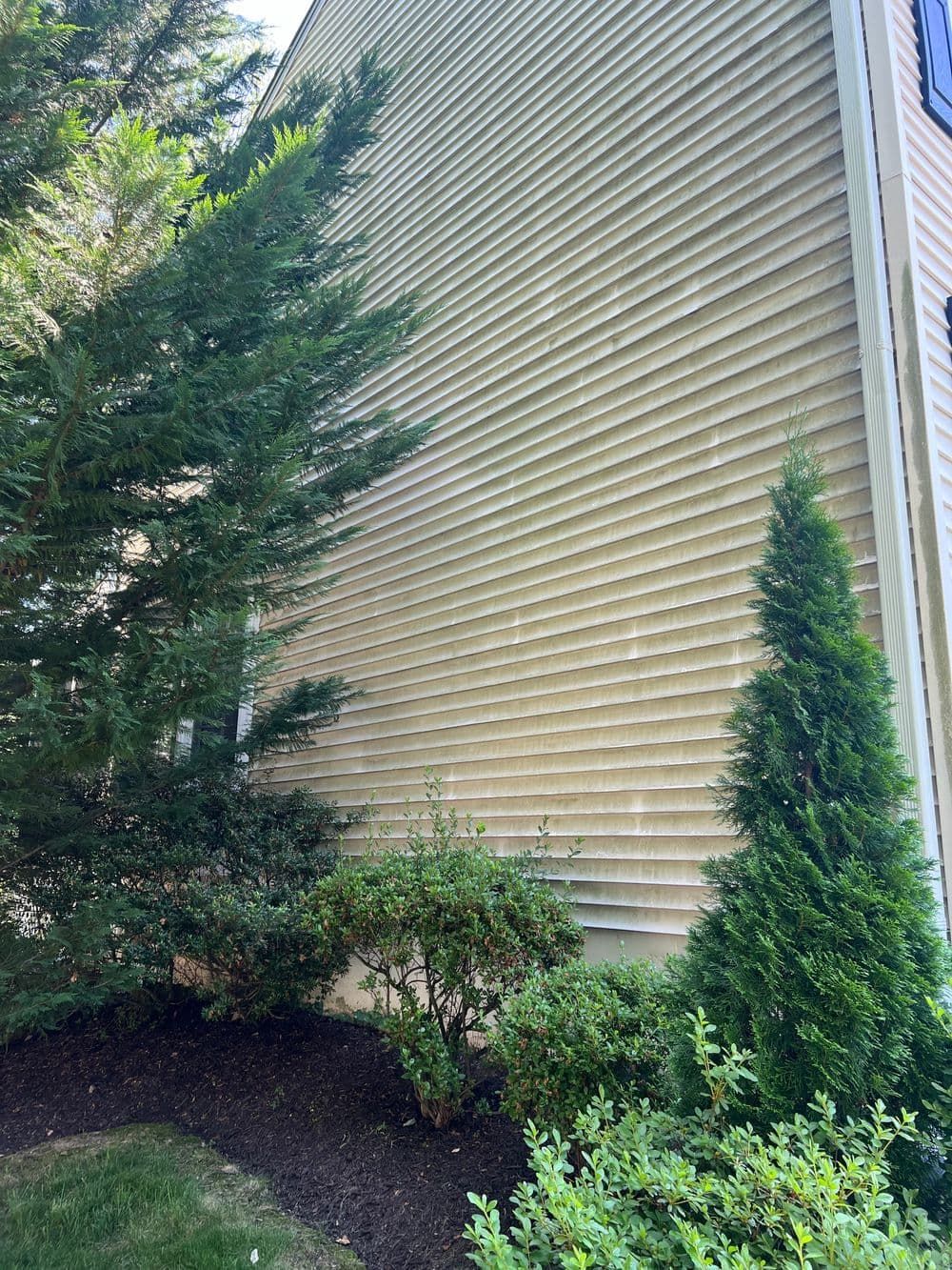 Side of a light yellow building with horizontal siding, flanked by green trees and shrubs.