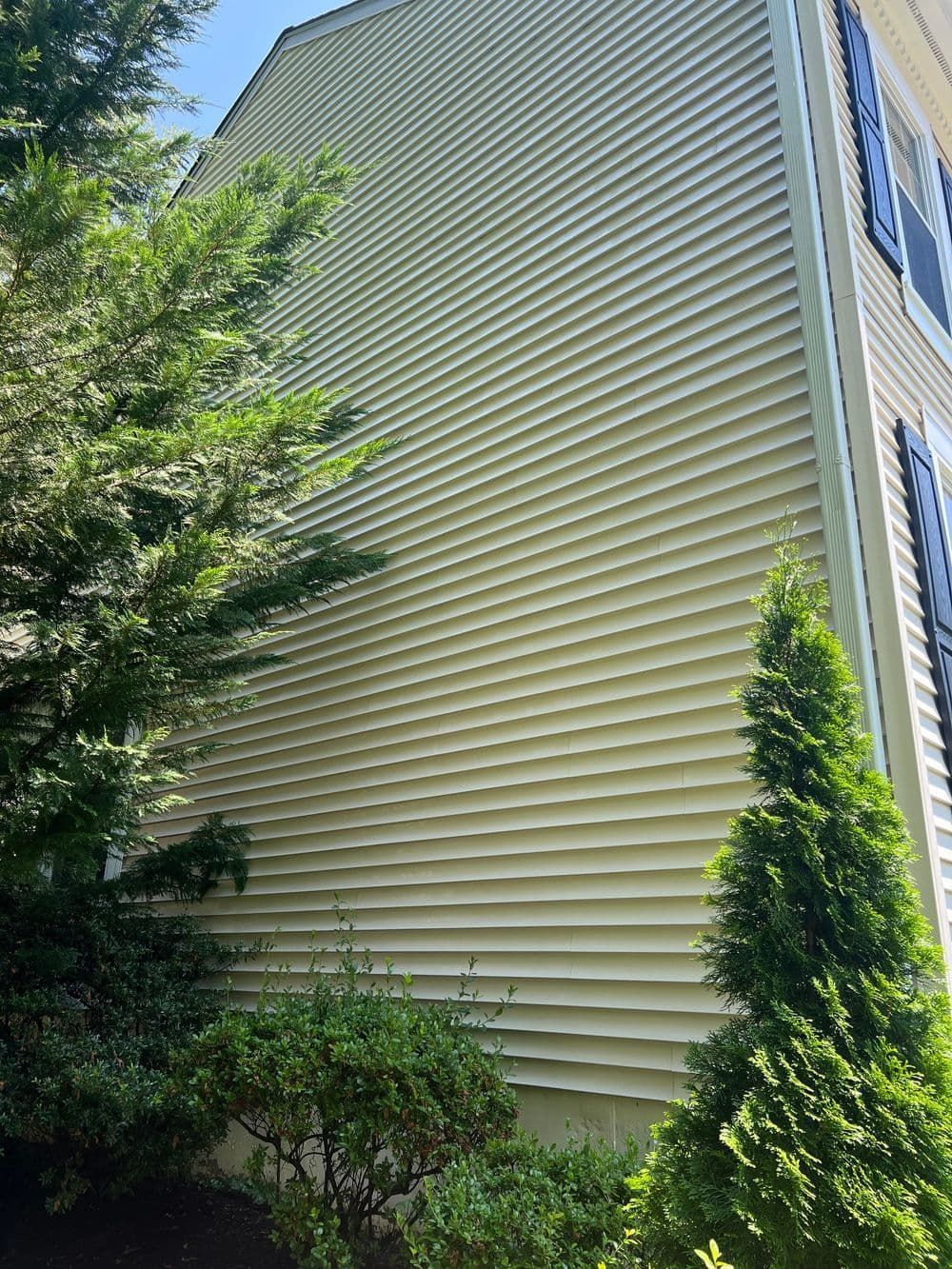 Light yellow siding on a multi-story building, with trees and shrubs in front. Blue sky.