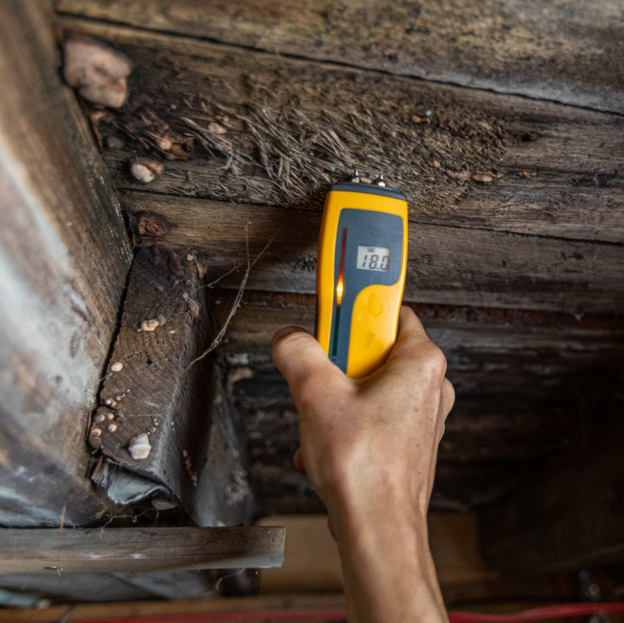 mold inspection in the ceiling