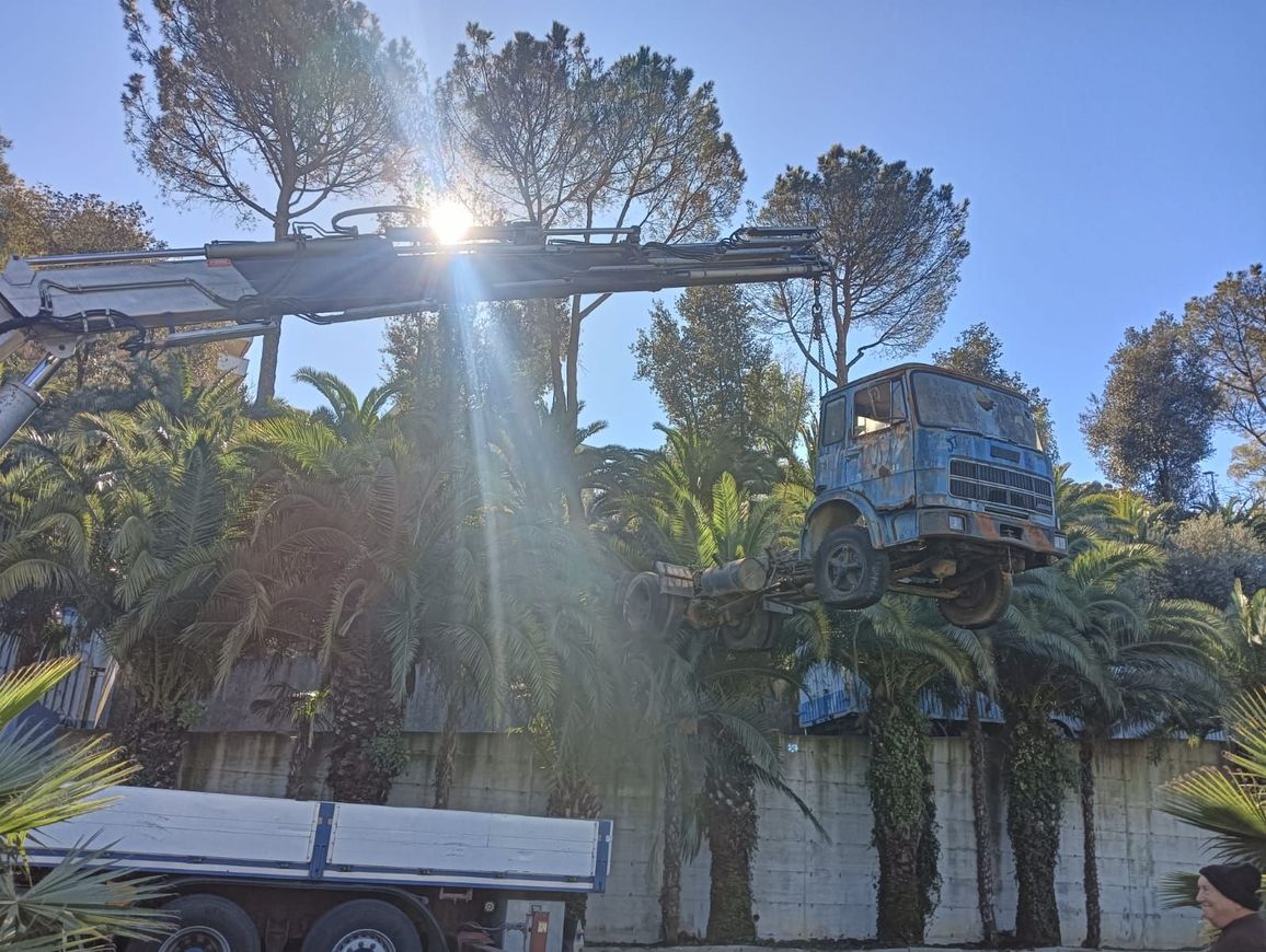 Un operaio con indosso una tuta di sicurezza arancione taglia con una motosega il tronco di un albero in una zona boschiva.