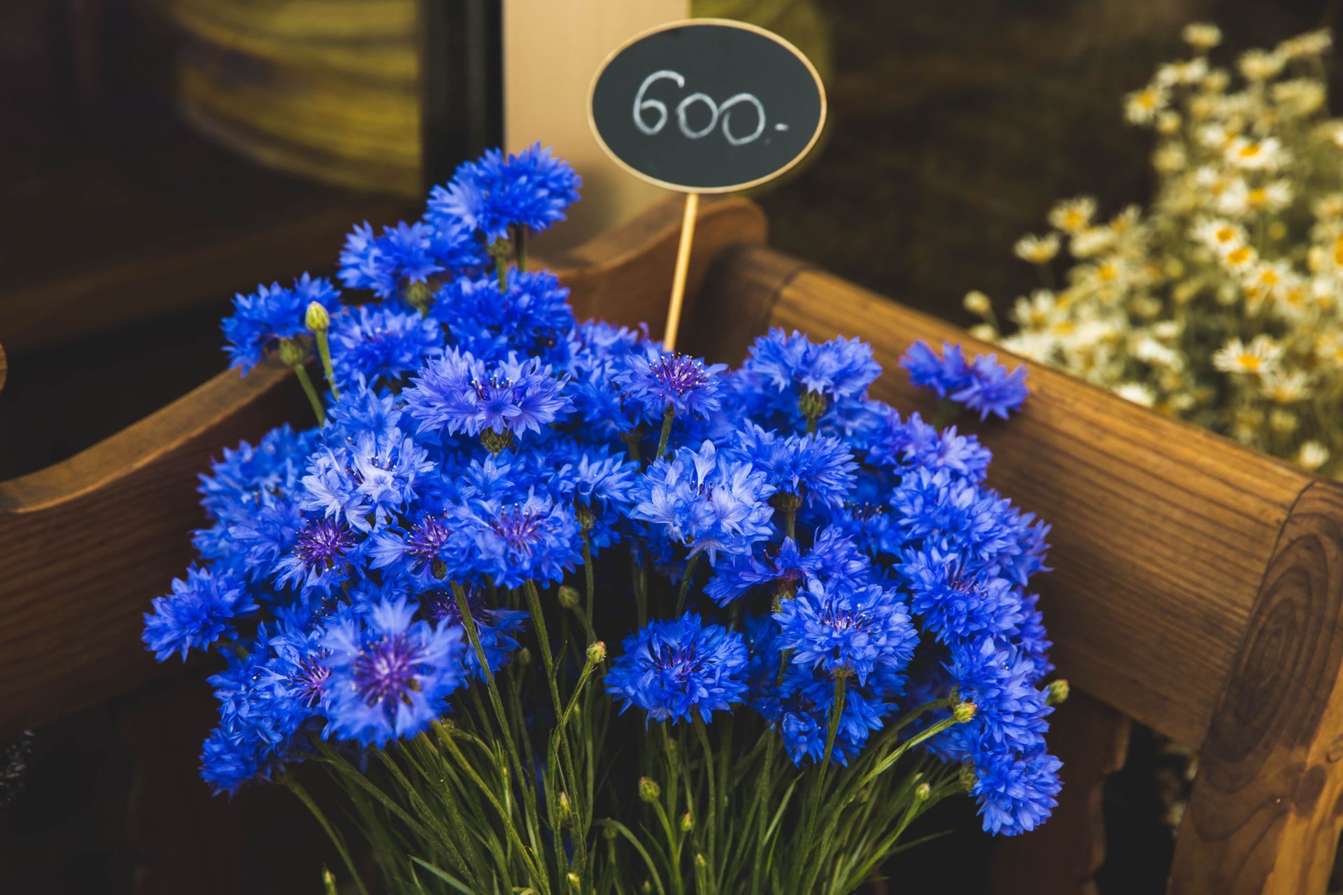Bright blue cornflower bouquet in a wooden box with a price tag that reads