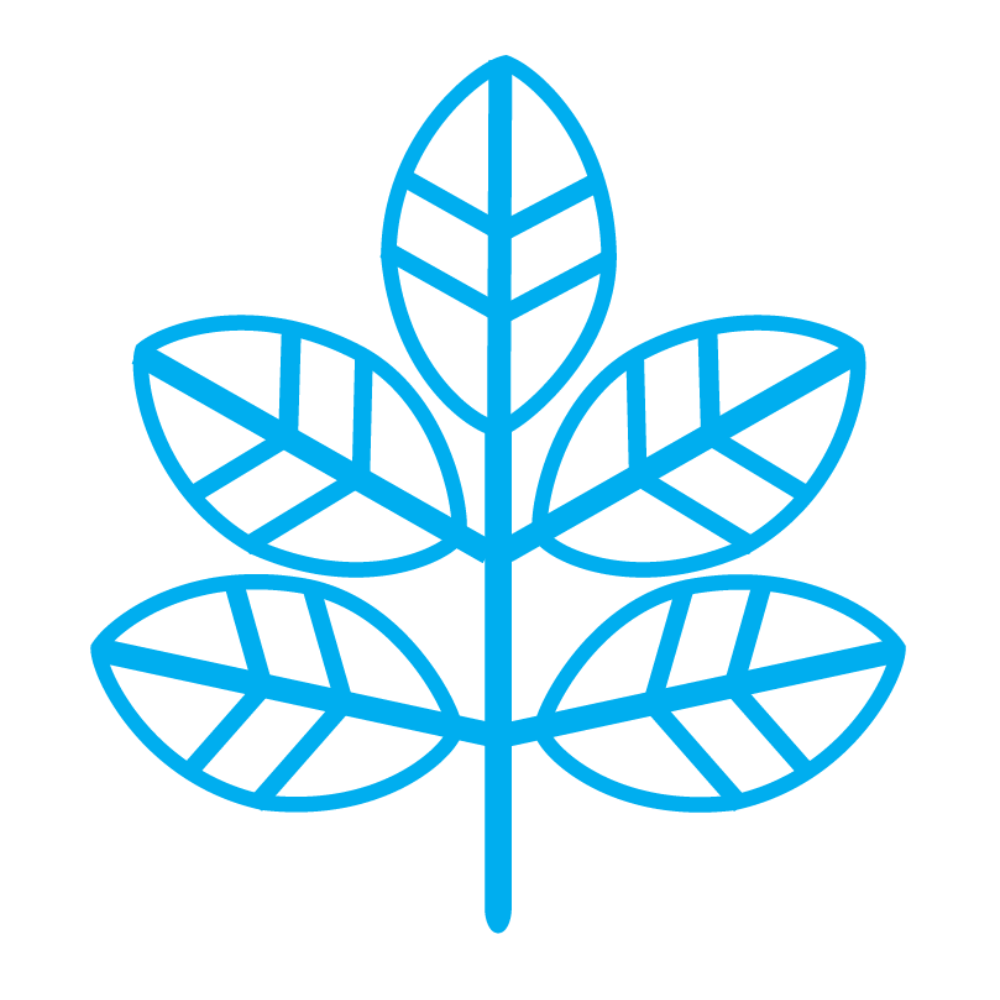 Blue outline of a plant stem with five leaves.