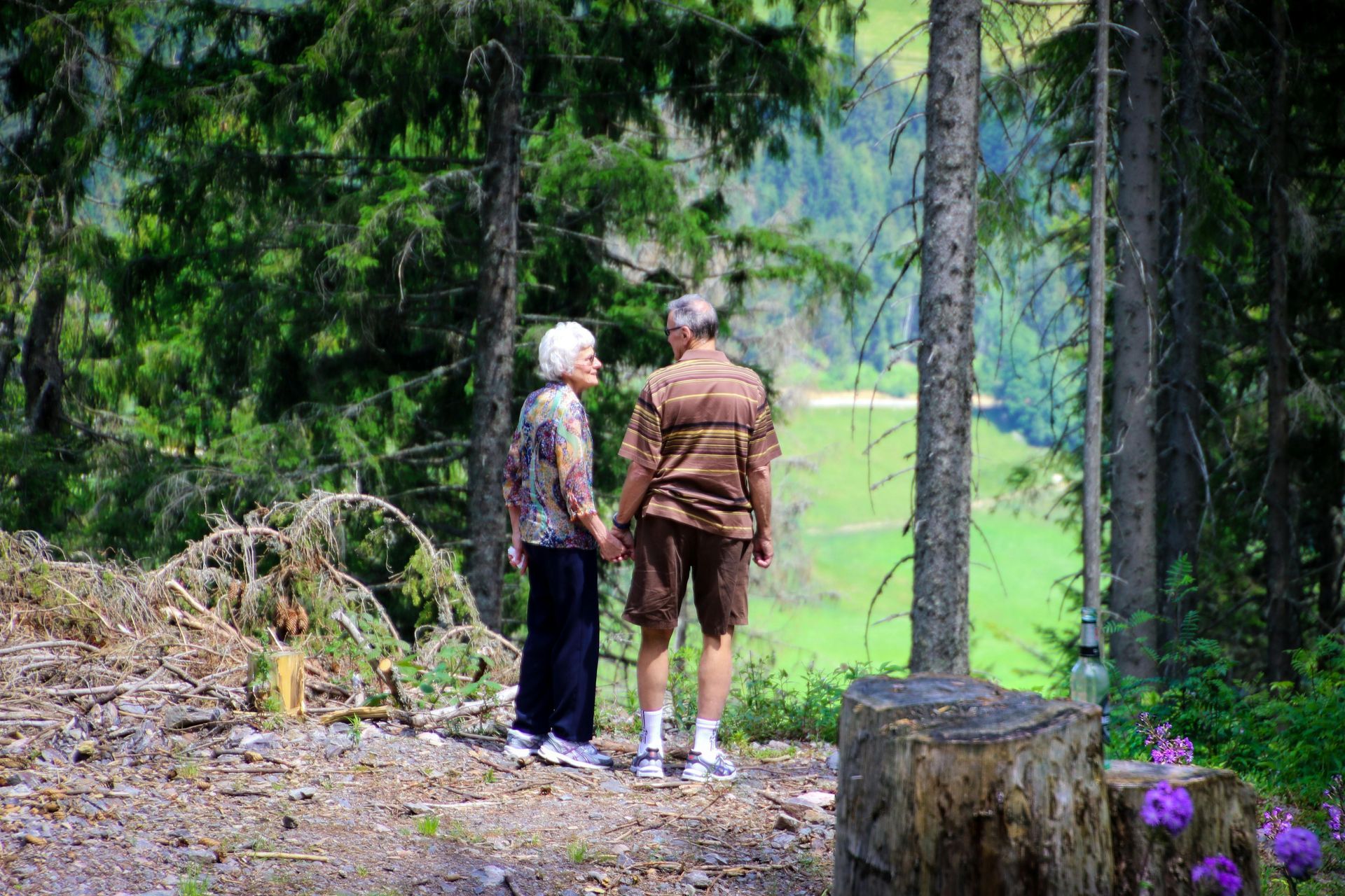 Elderly couple holding hands, overlooking green valley in a forest.