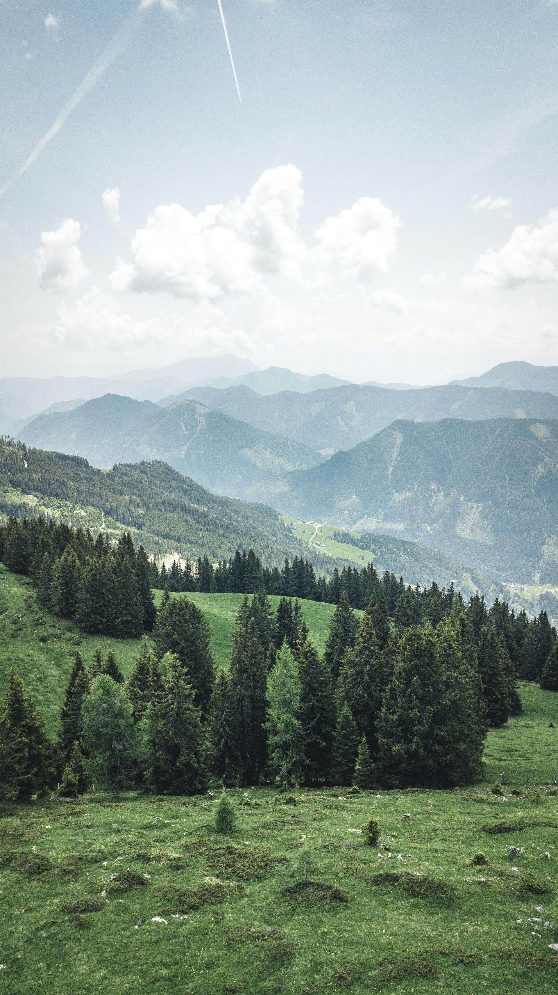 Rolling green mountain slopes with dark green evergreen trees, under a cloudy blue sky.