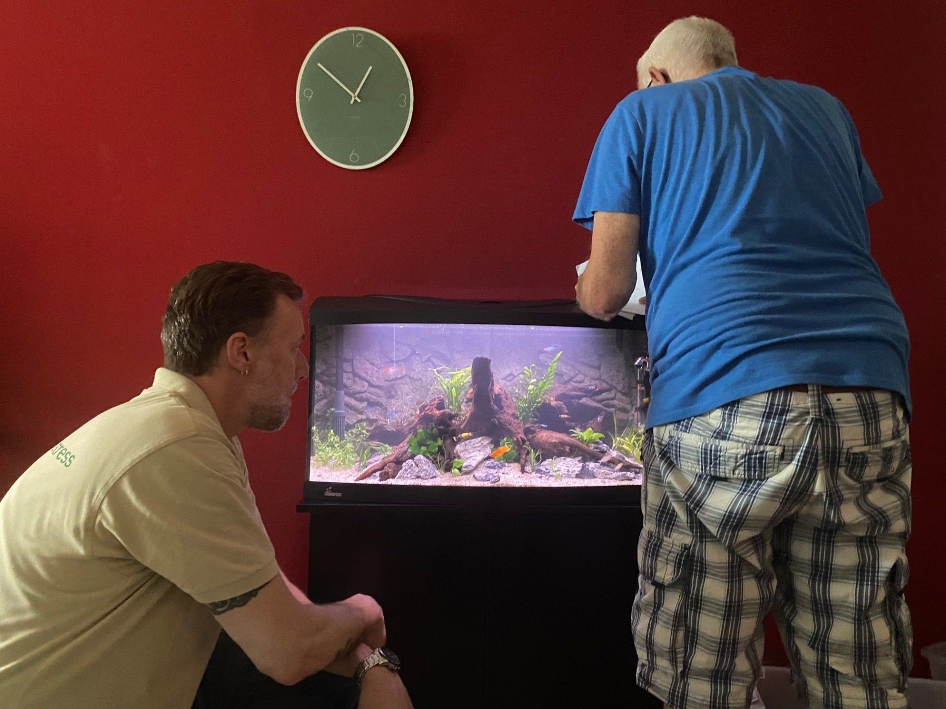 Advies aquarium