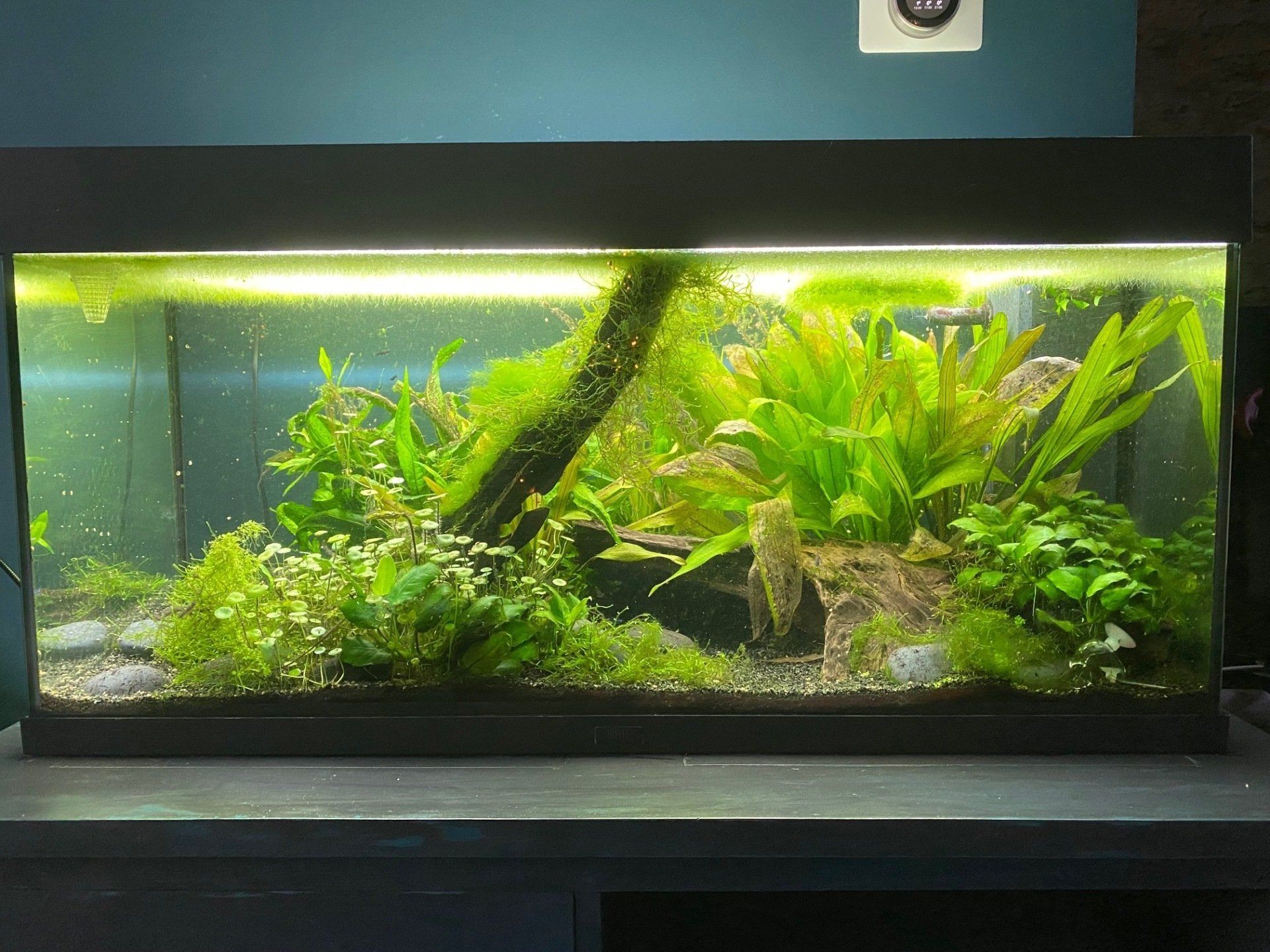 Restyle juwel aquarium