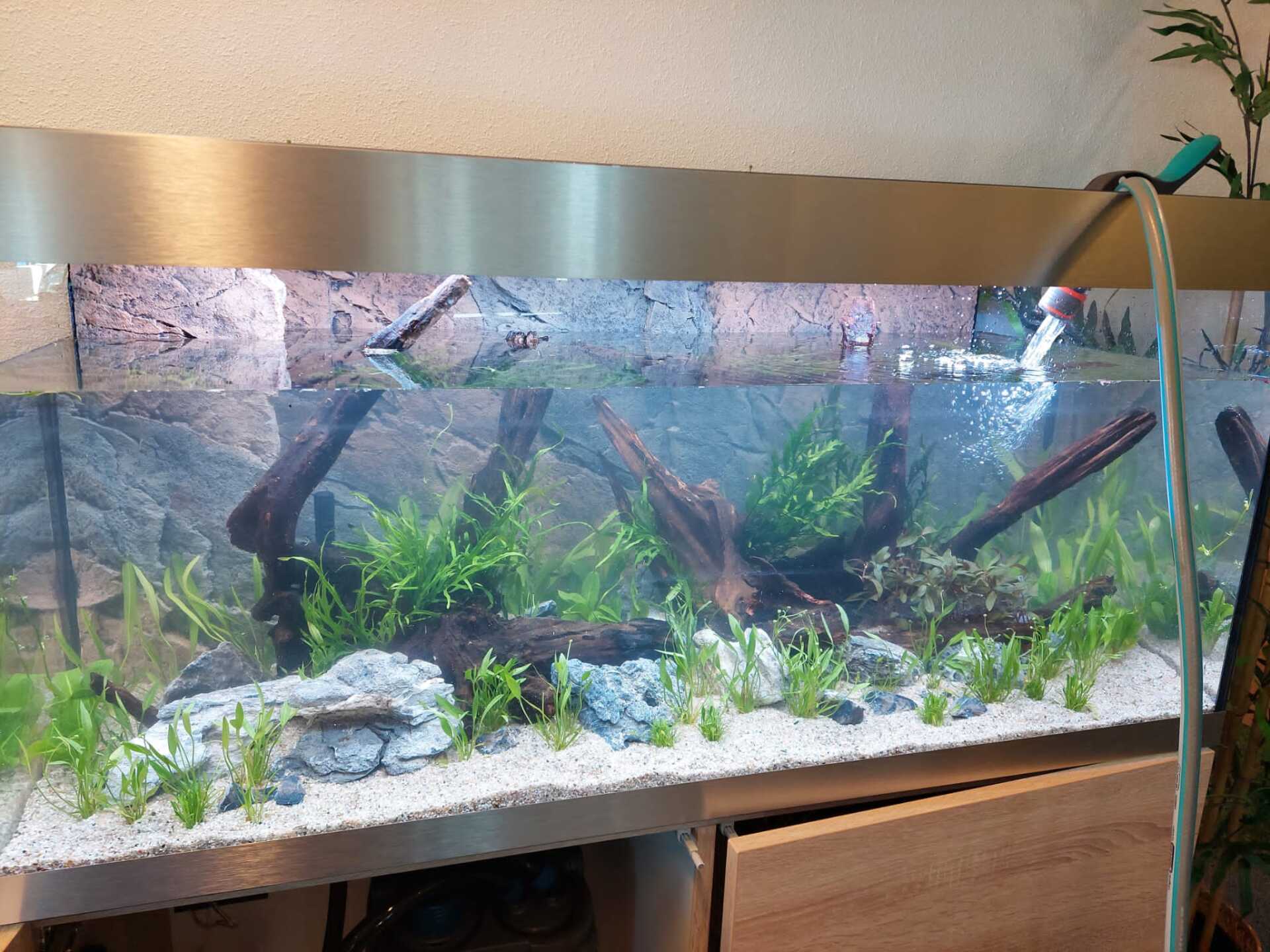 Aquarium Onderhoud