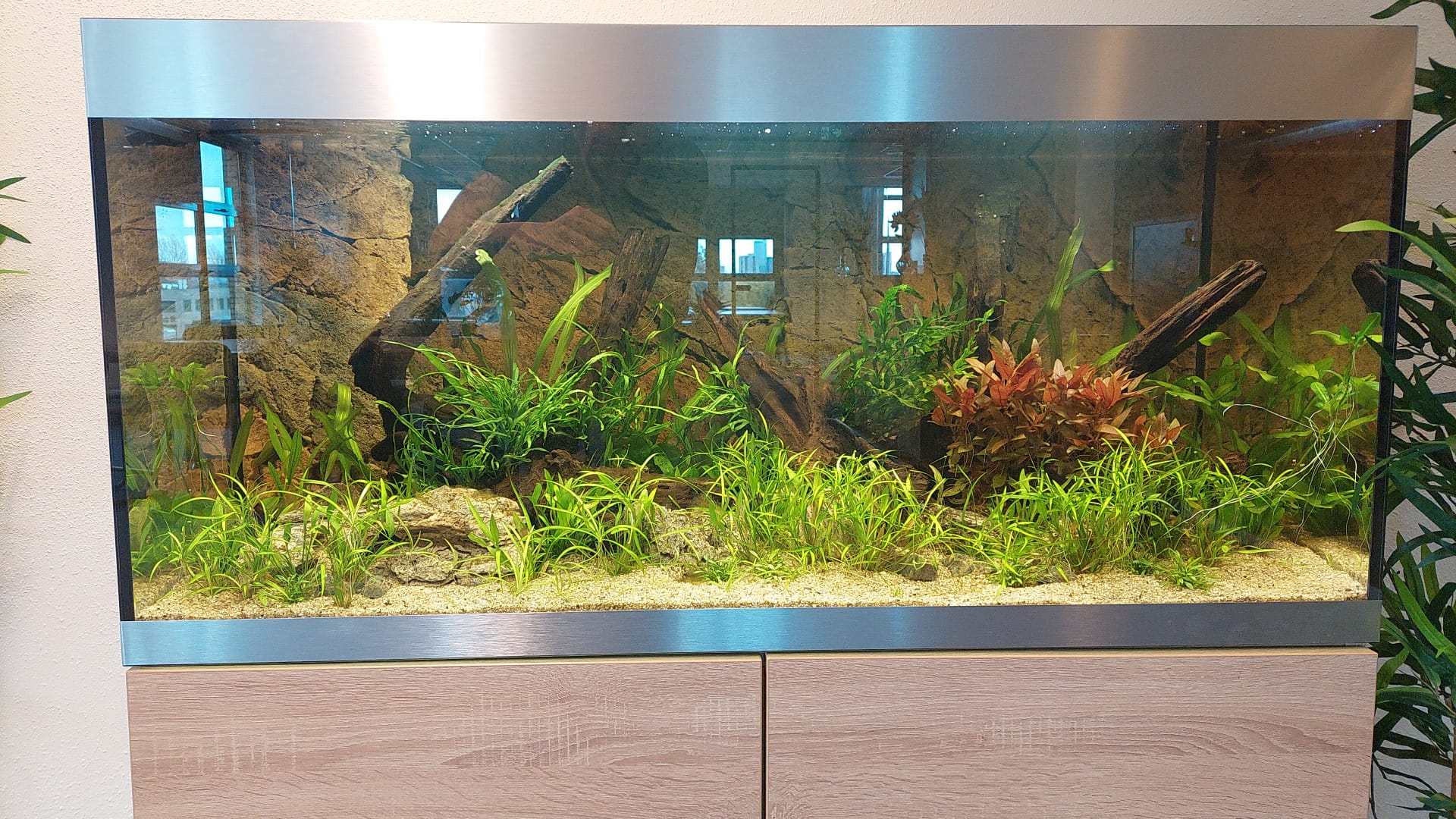 Aquarium in vergaderruimte