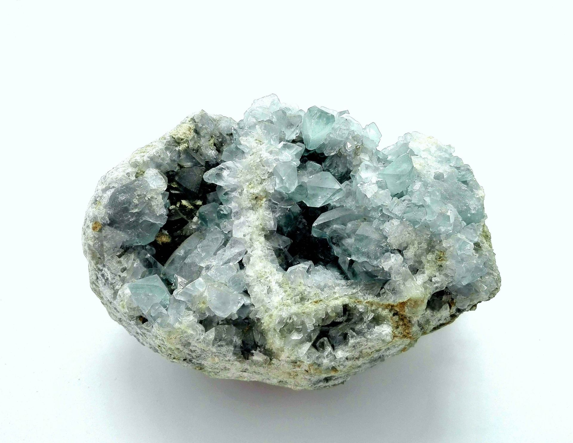 celestina