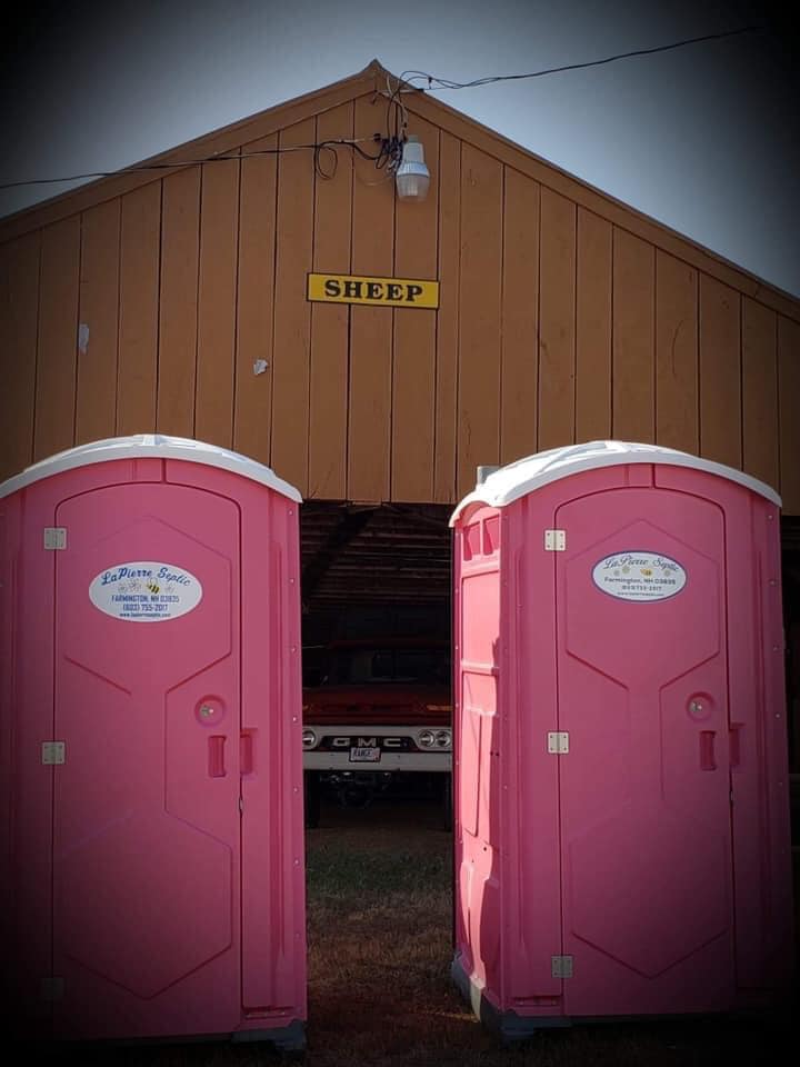Pair of pink portable toilets