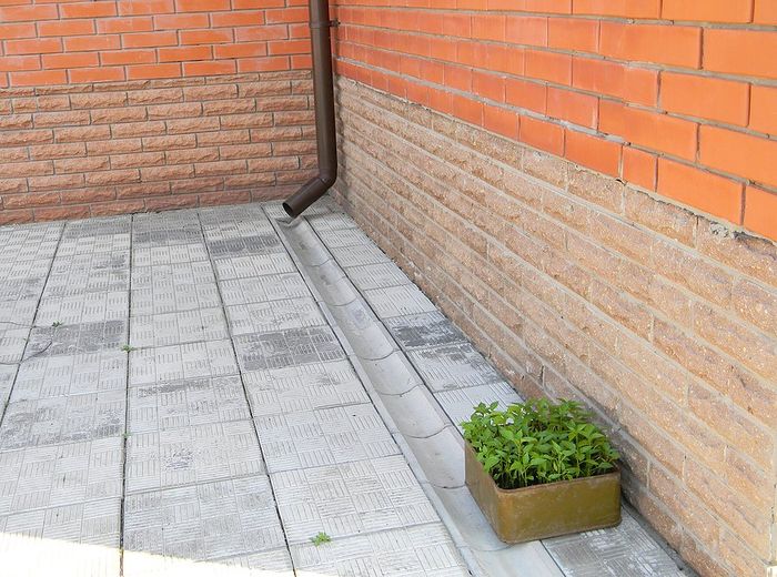 A small potted plant is sitting on the sidewalk next to a brick wall.