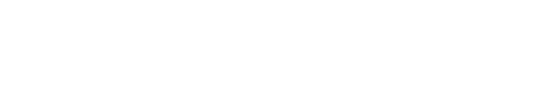 Brilliant Journeys LLC Brilliant Journeys LLC