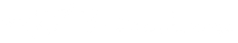 Brilliant Journeys LLC Brilliant Journeys LLC