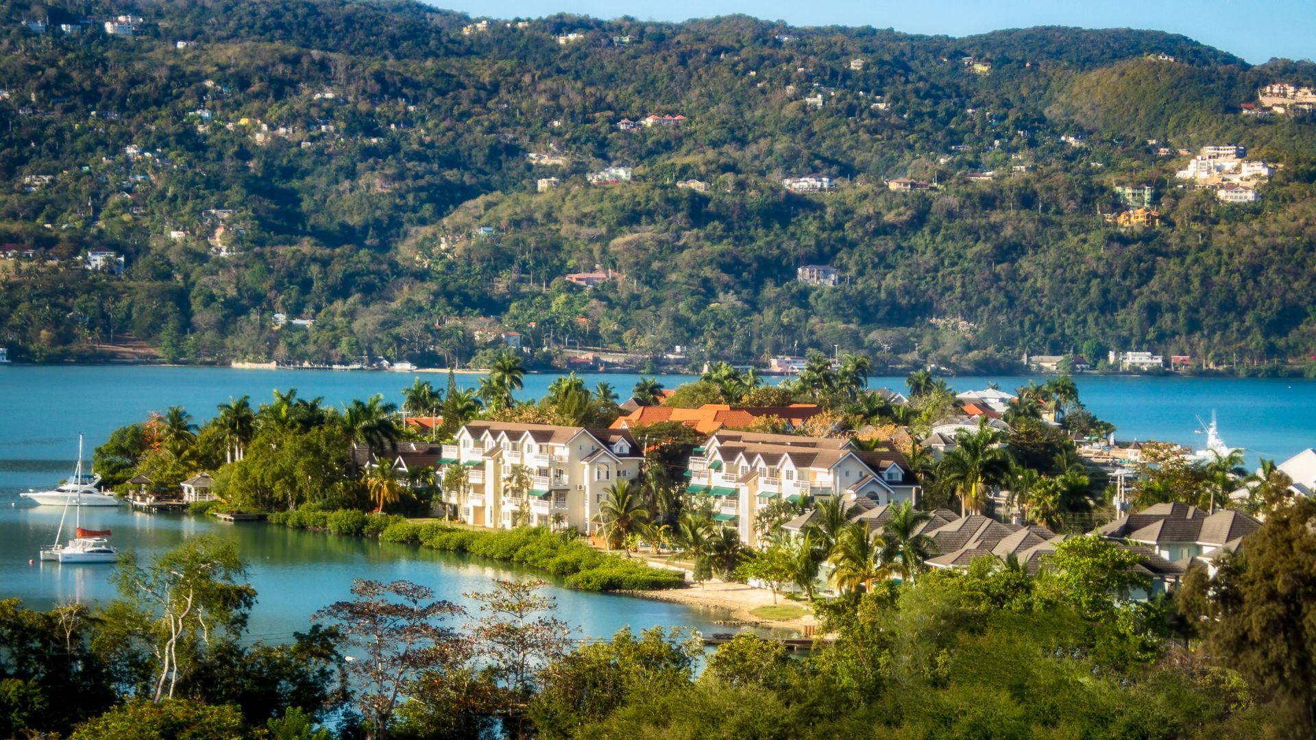 A small island in the middle of a body of water surrounded by trees.
