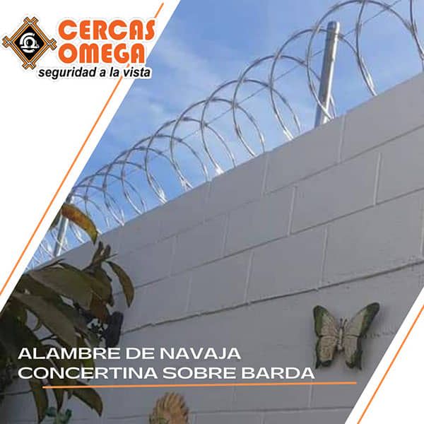 ALARMAS OMEGA - Concertina sobre barda