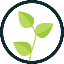 Green sprout with three leaves inside a dark green circle