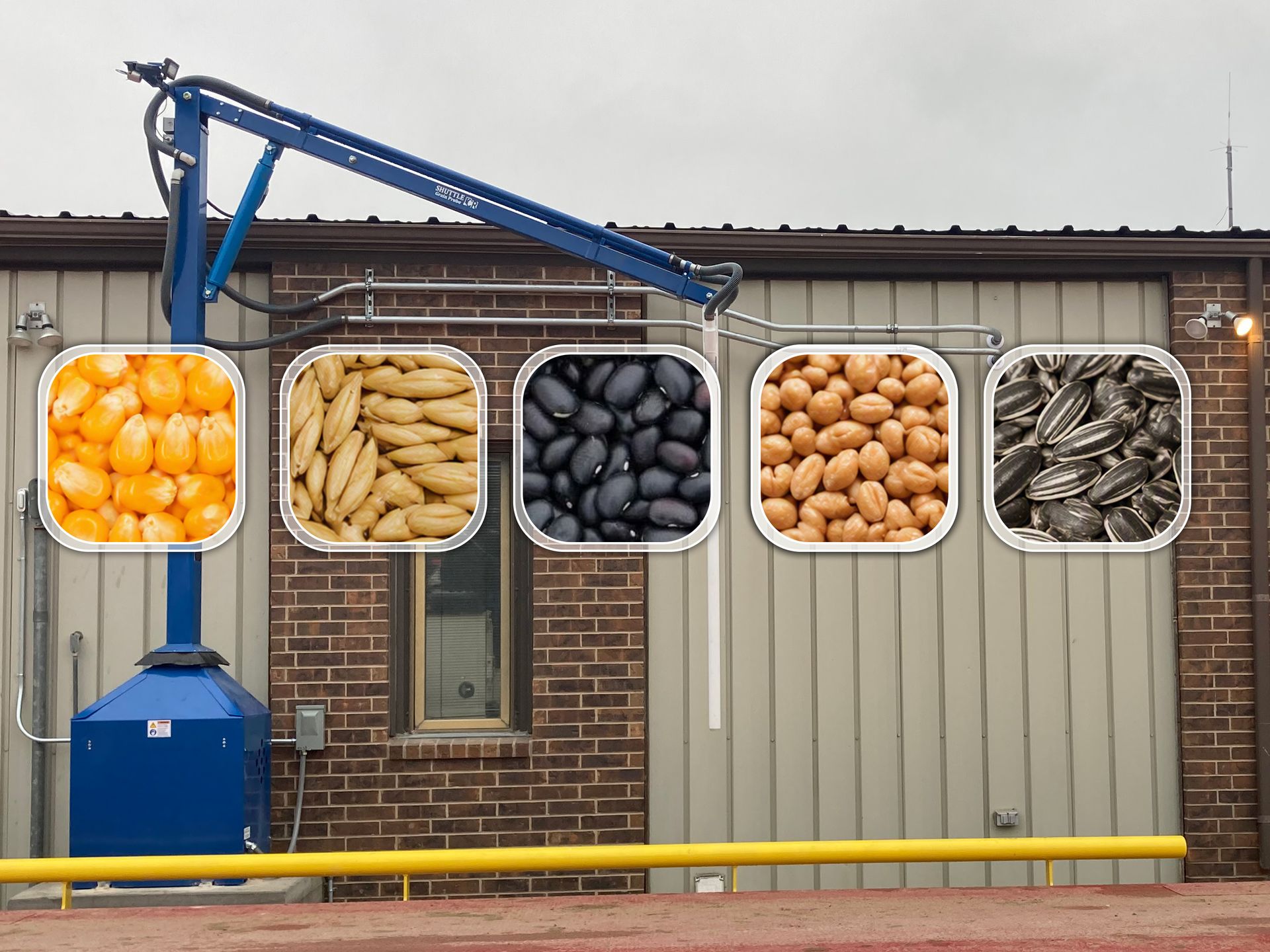 Grain Probe Sample Products
