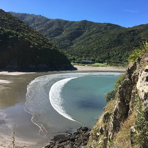 A large body of water surrounded by mountains and trees.