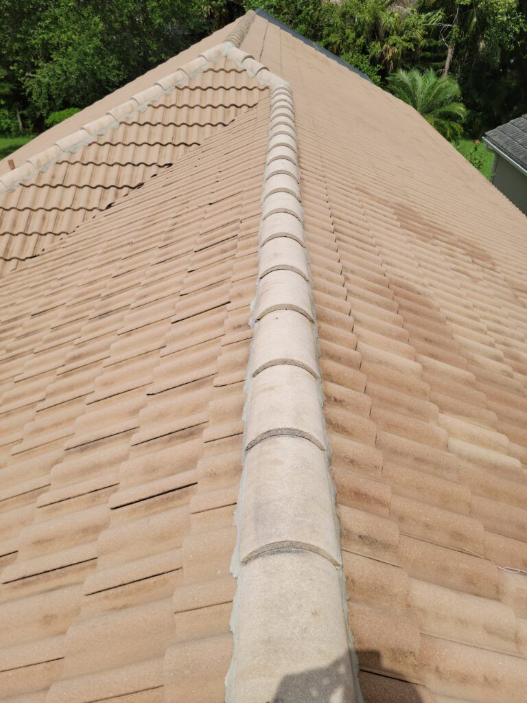 An after image of a tile roof