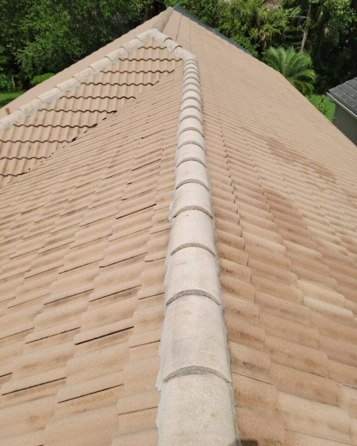 An after image of a tile roof