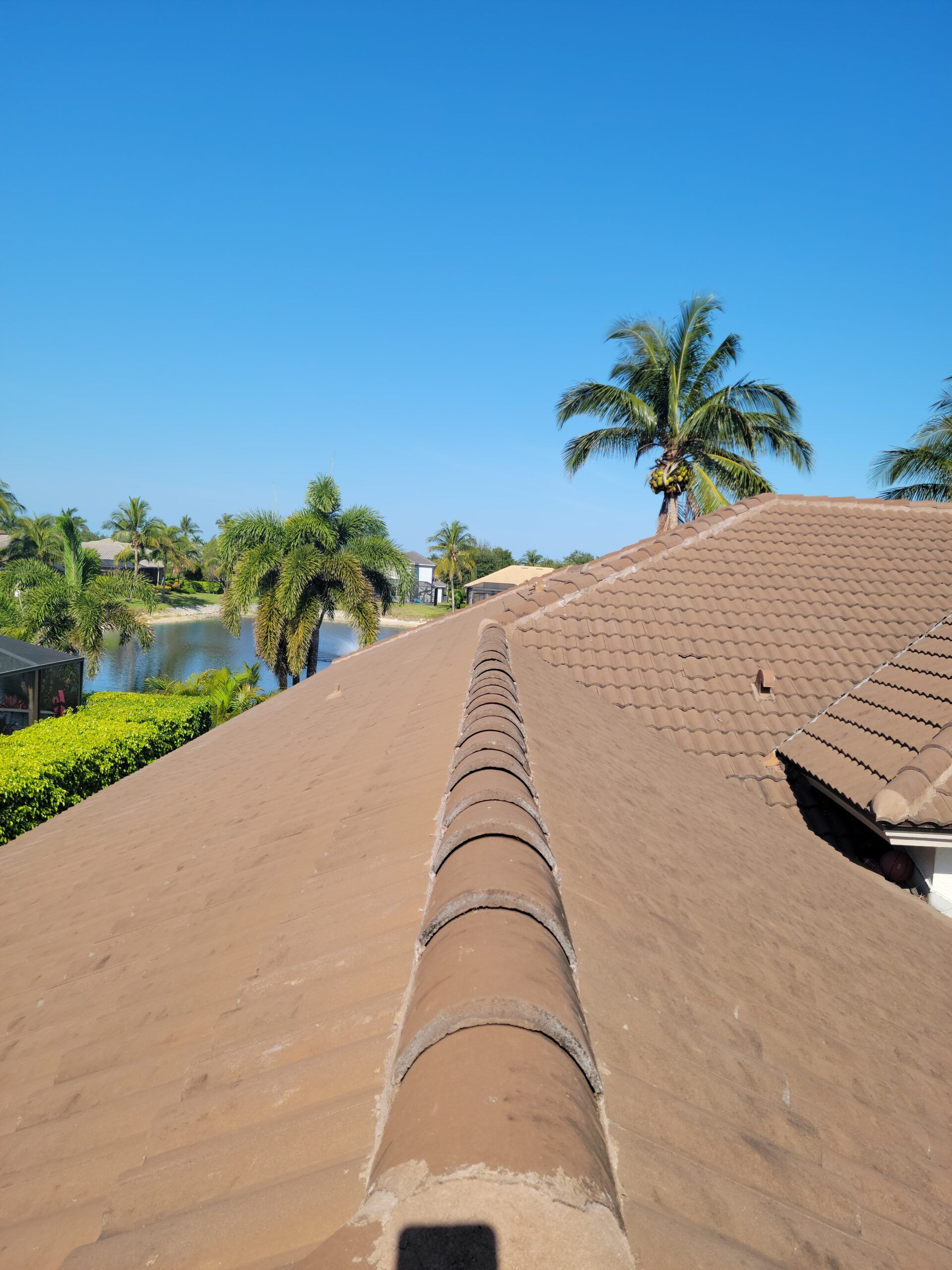 A before image of a roof