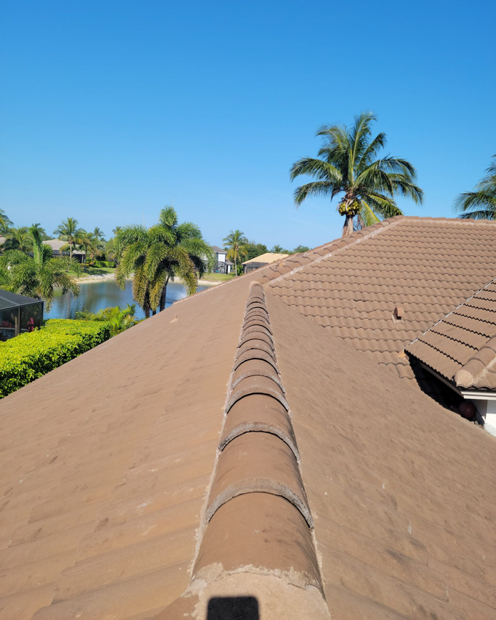 A before image of a roof
